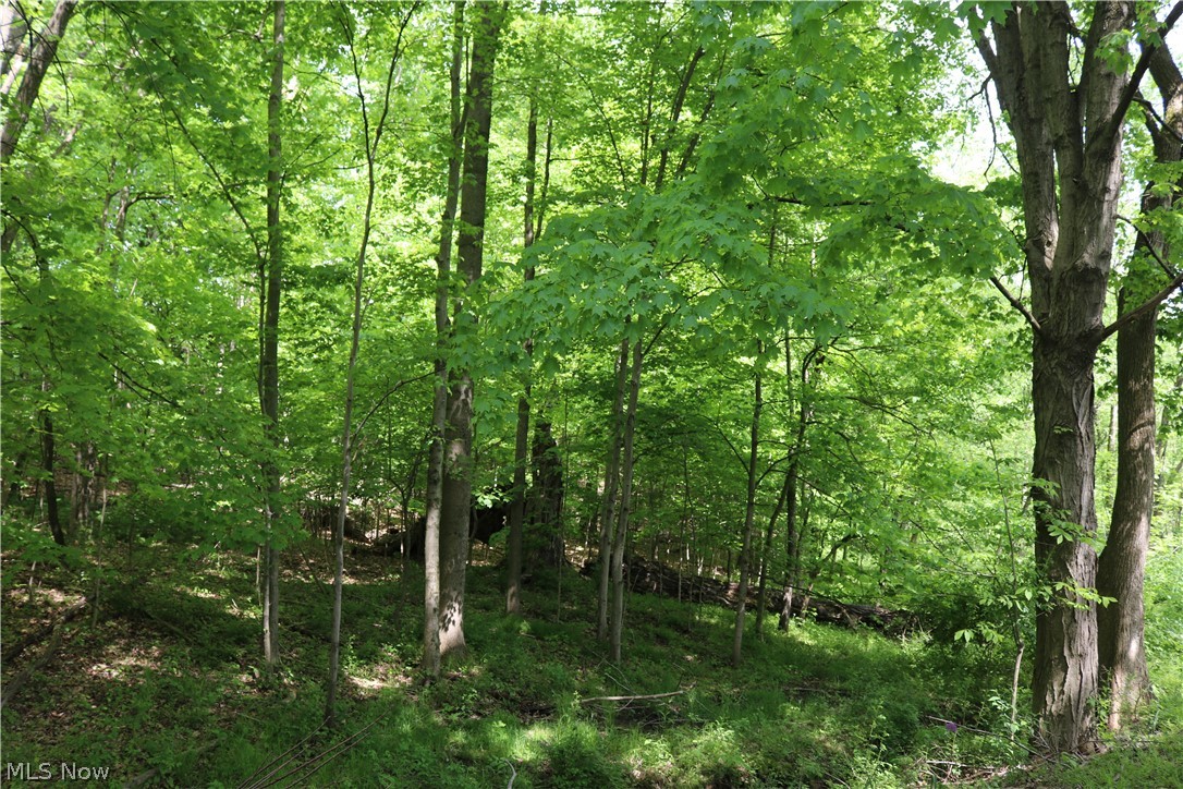 30700 Ferguson Road Tippecanoe, OH 44699 - Photo 17 of 17 Gallery Image 17