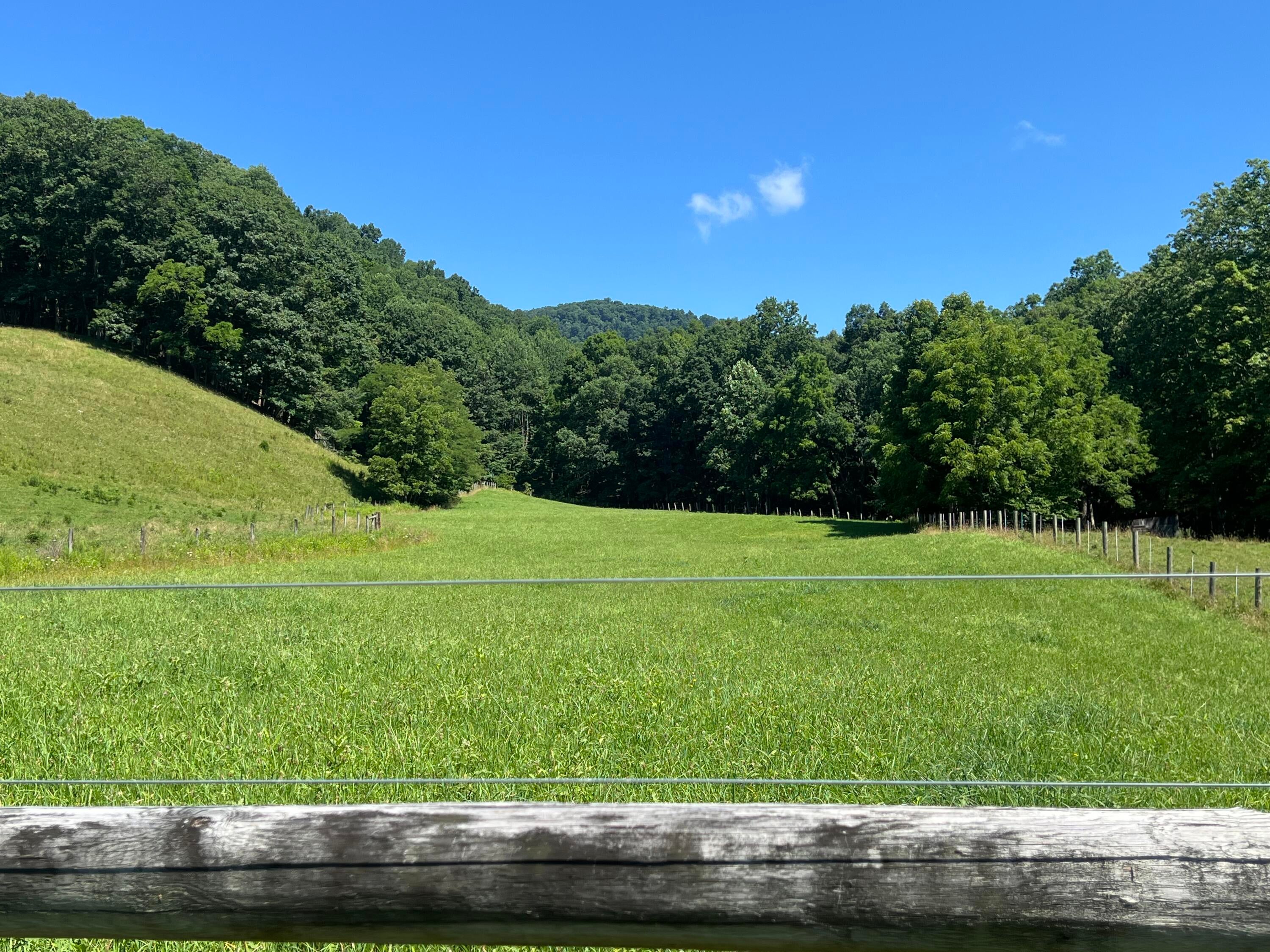 4951 Cornstalk Road Crawley, WV 24931 - Photo 4 of 47 Gallery Image 4