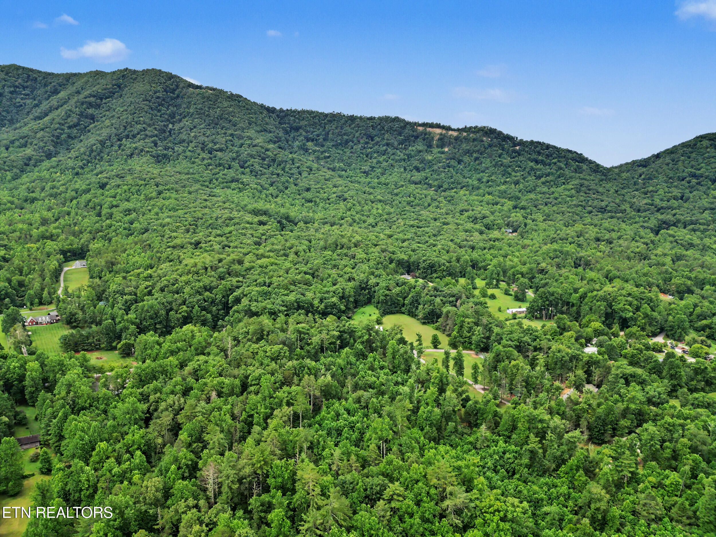 1006 Dry Valley Road Townsend, TN 37882 - Photo 46 of 54 45_dji_0065
