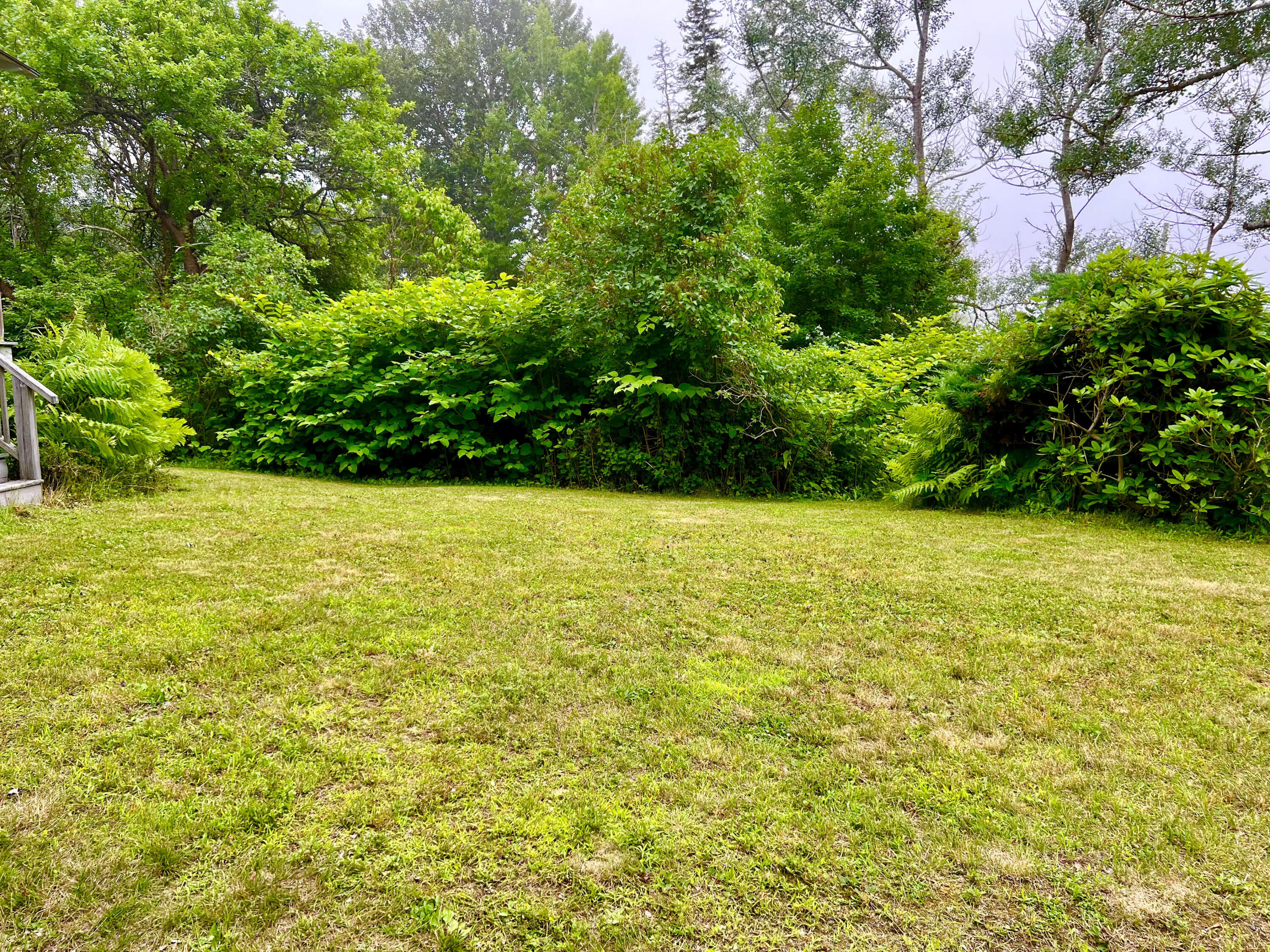 24 Shore Road Bass Harbor, ME 04653 - Photo 42 of 49 Yard