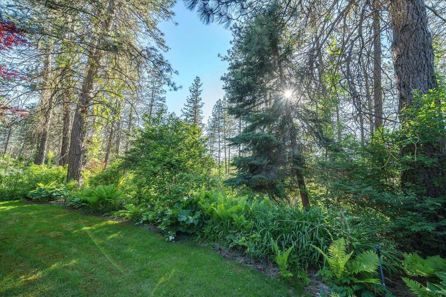 17723 North Palomino Road Colbert, WA 99005 - Photo 37 of 37