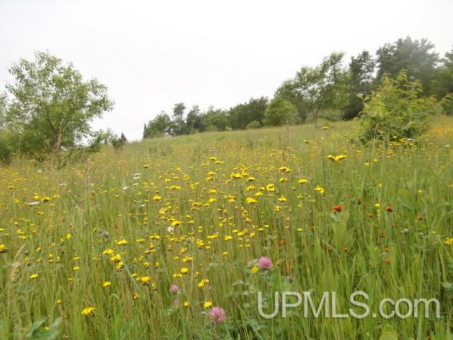 Tbd Ballo Road Crystal Falls, MI 49920 - Photo 22 of 25