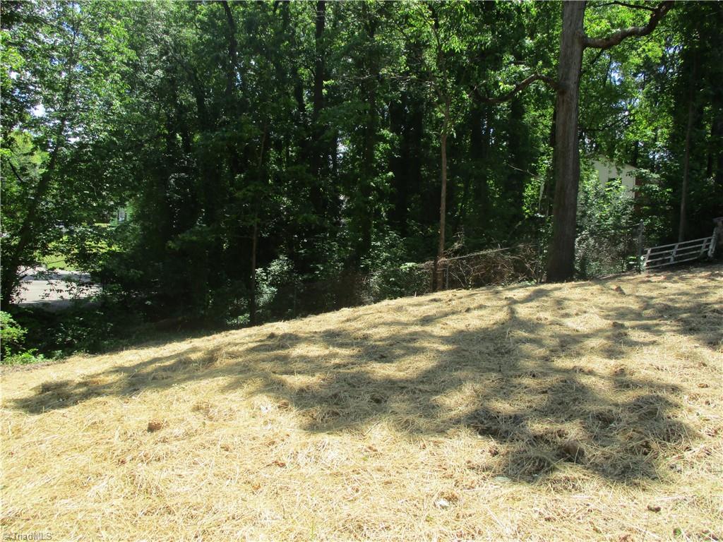 1438 Madison Street High Point, NC 27262 - Photo 11 of 14 Gallery Image 11