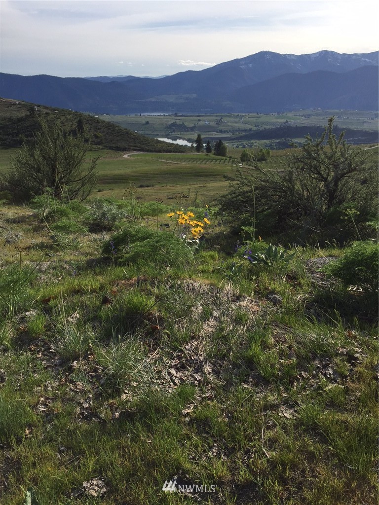 -nna Upper Joe Creek Road Manson, WA 98831 - Photo 1 of 11 Gallery Image 1