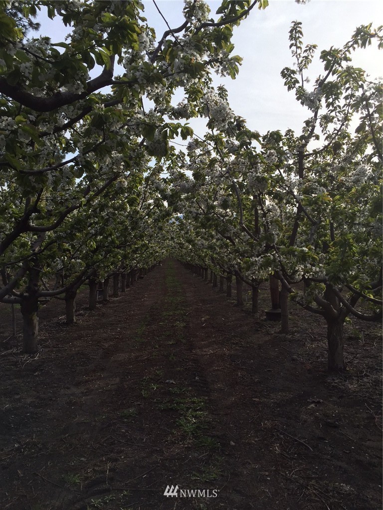-nna Upper Joe Creek Road Manson, WA 98831 - Photo 2 of 11 Gallery Image 2