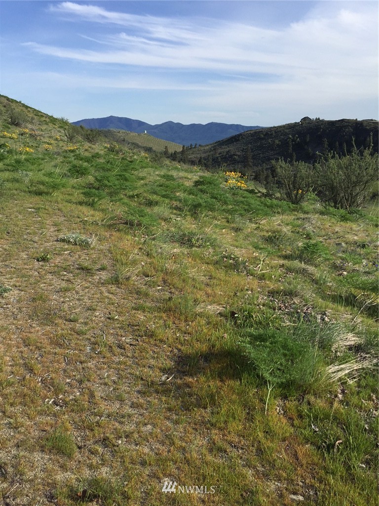 -nna Upper Joe Creek Road Manson, WA 98831 - Photo 3 of 11 Gallery Image 3