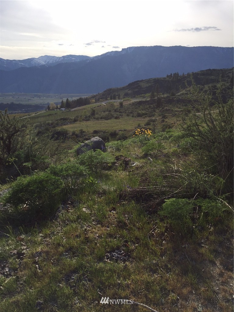 -nna Upper Joe Creek Road Manson, WA 98831 - Photo 6 of 11 Gallery Image 6