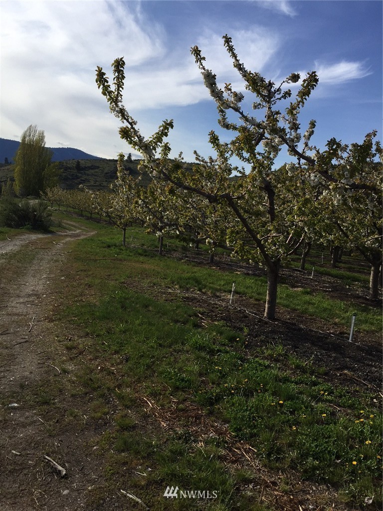 -nna Upper Joe Creek Road Manson, WA 98831 - Photo 8 of 11 Gallery Image 8