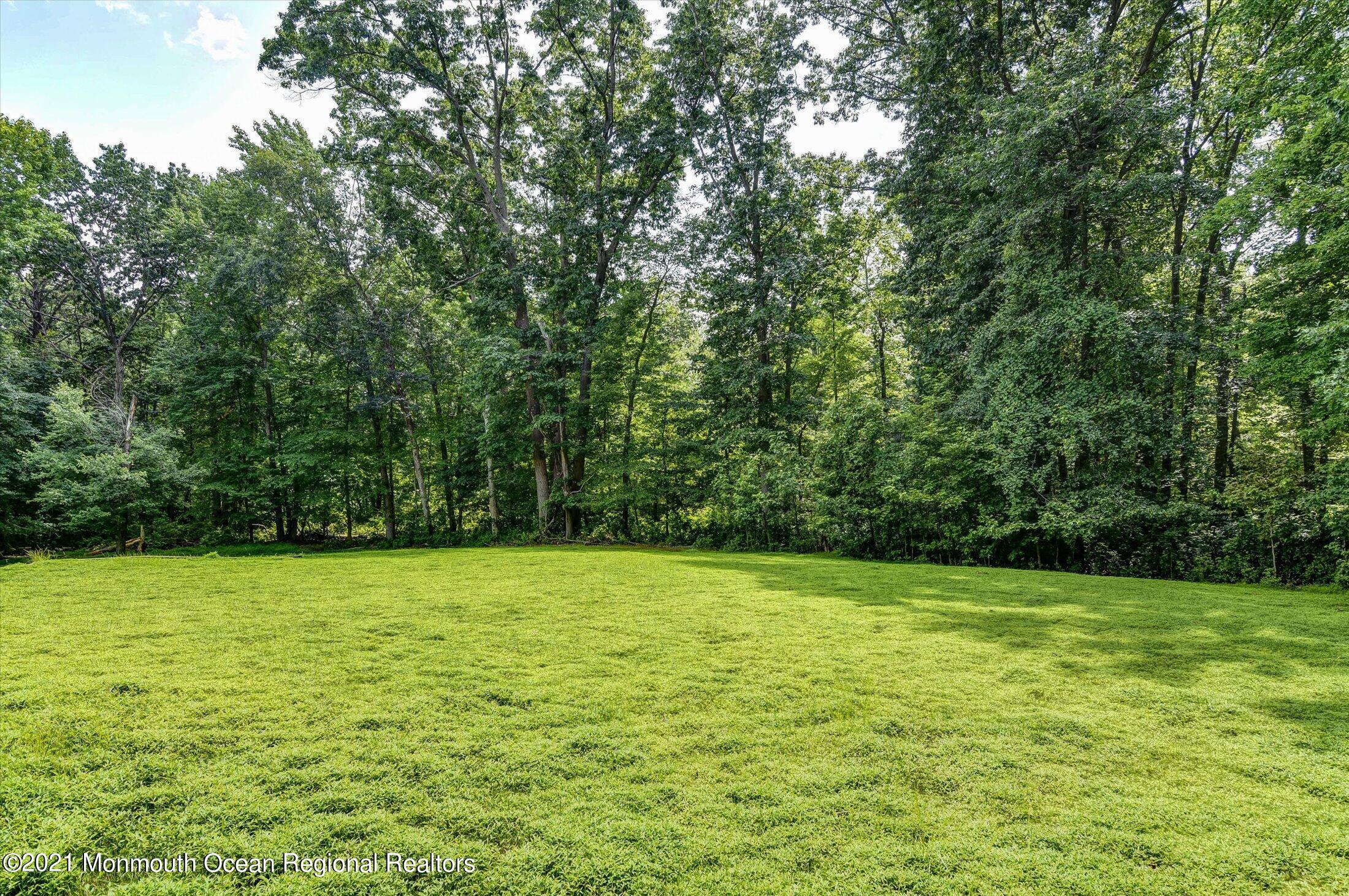 10 Syngle Way Morganville, NJ 07751 - Photo 28 of 36 28-Side Yard