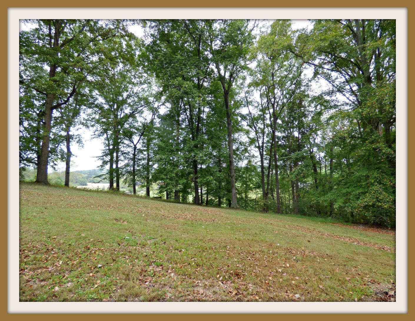 2 Goose Creek Road Dandridge, TN 37725 - Photo 9 of 13 Gallery Image 9