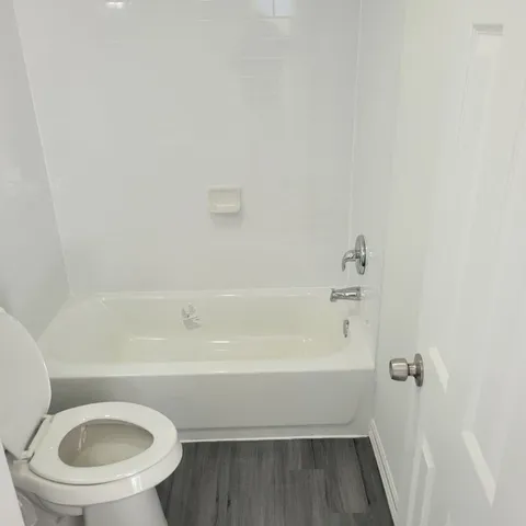 a bathroom with a toilet and a bathtub