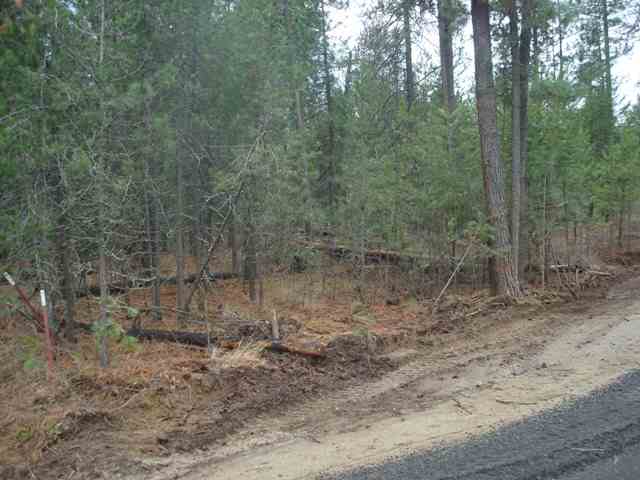 31711 North Perry Road Deer Park, WA 99006 - Photo 5 of 8 Gallery Image 5