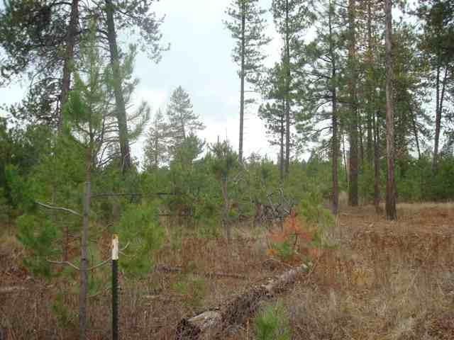 31711 North Perry Road Deer Park, WA 99006 - Photo 7 of 8 Gallery Image 7