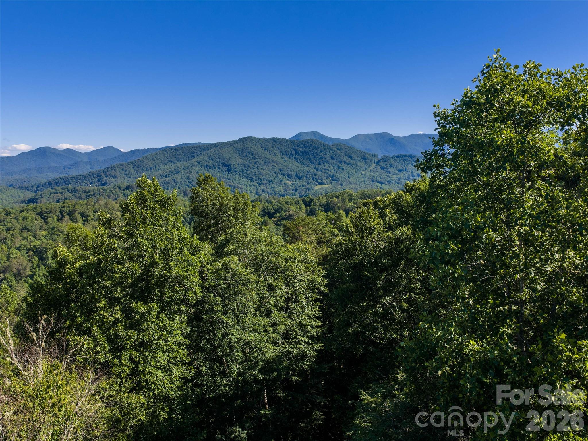 0 Little Savannah Road Sylva, NC 28779 - Photo 8 of 18