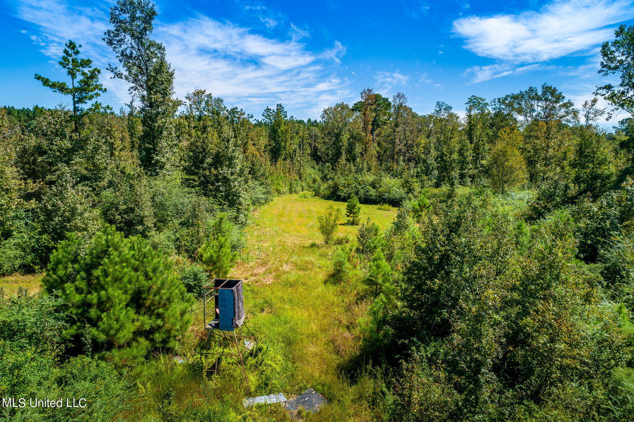 270 Grice Road Columbia, MS 39429 - Photo 48 of 50 4 Drone View (7 of 9)