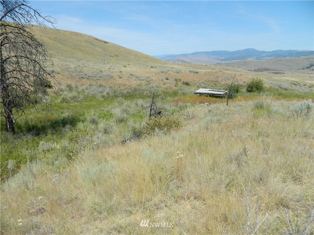 56 Twin Springs Road Riverside, WA 98849 - Photo 13 of 17 Gallery Image 13
