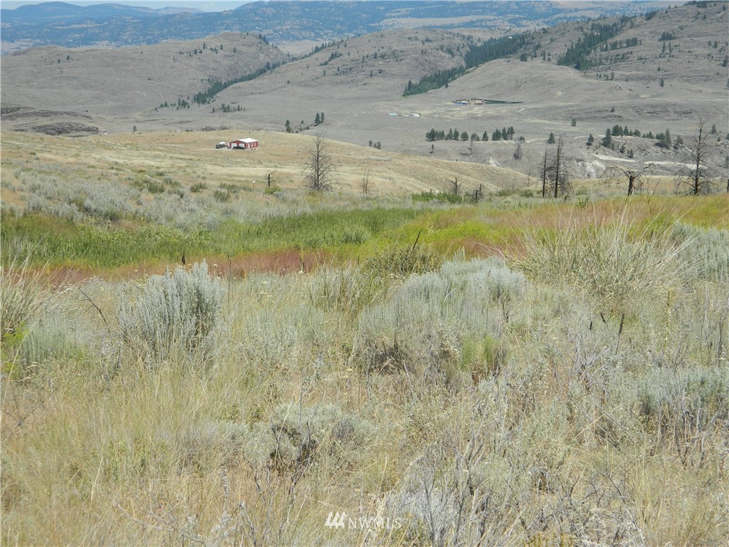 56 Twin Springs Road Riverside, WA 98849 - Photo 14 of 17 Gallery Image 14