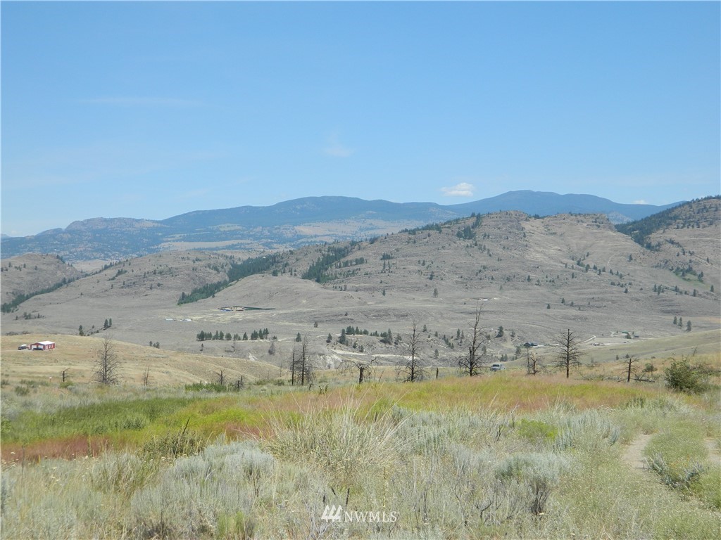 56 Twin Springs Road Riverside, WA 98849 - Photo 15 of 17 Gallery Image 15