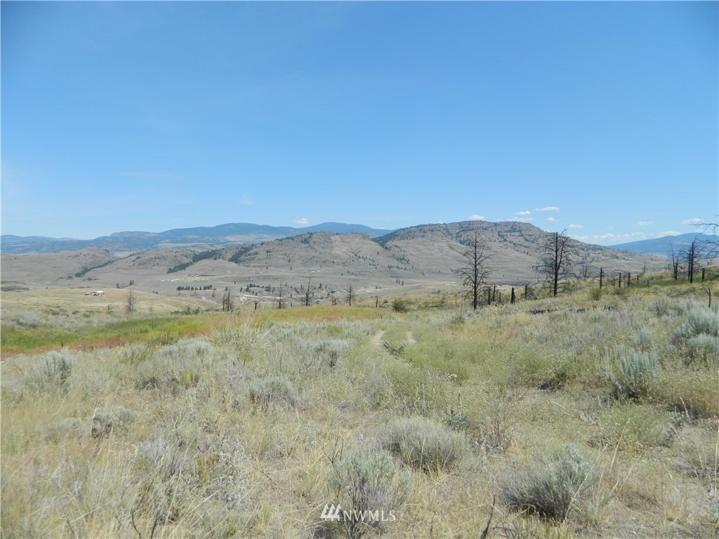 56 Twin Springs Road Riverside, WA 98849 - Photo 16 of 17 Gallery Image 16
