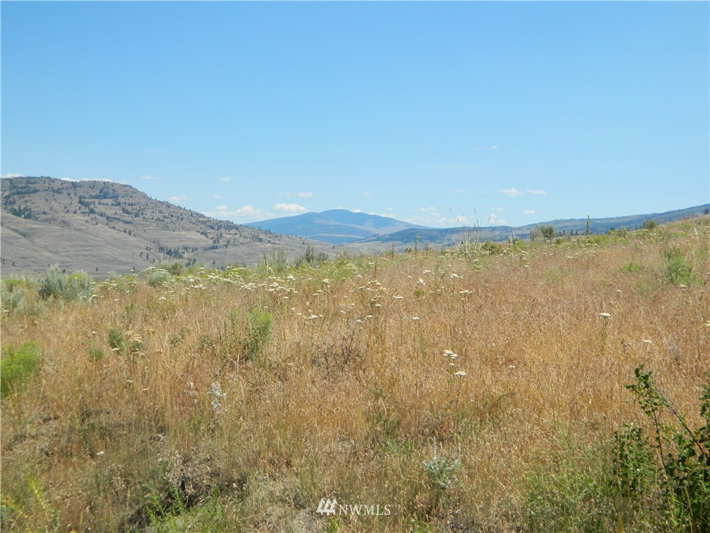 56 Twin Springs Road Riverside, WA 98849 - Photo 3 of 17 Gallery Image 3