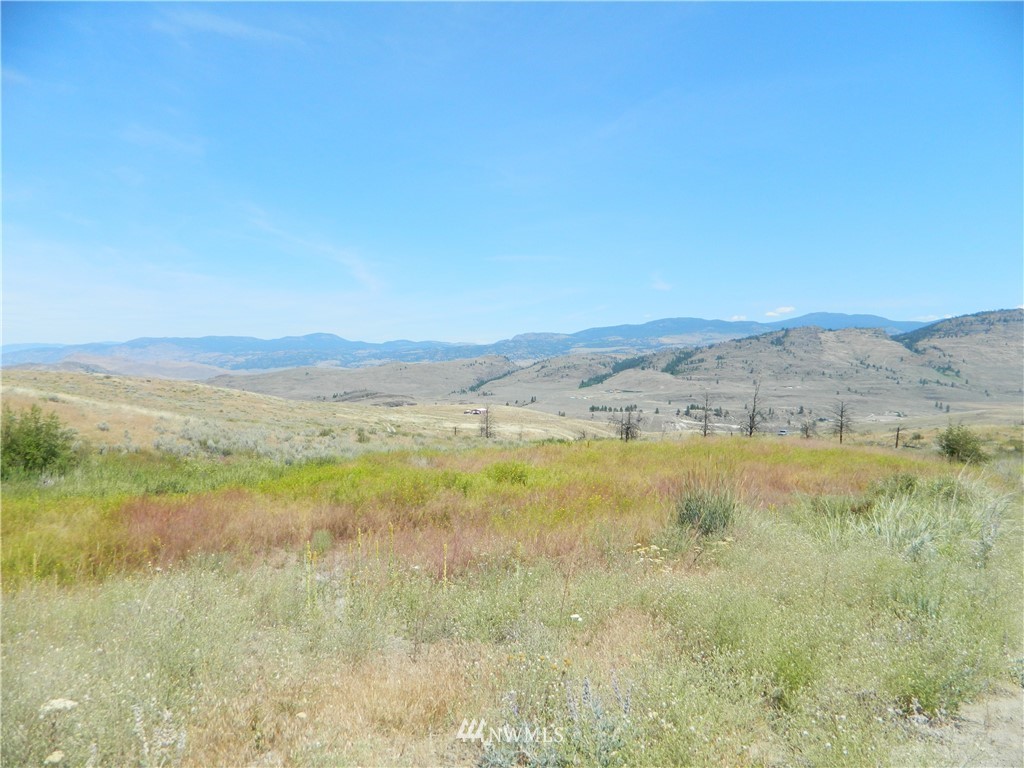 56 Twin Springs Road Riverside, WA 98849 - Photo 8 of 17 Gallery Image 8
