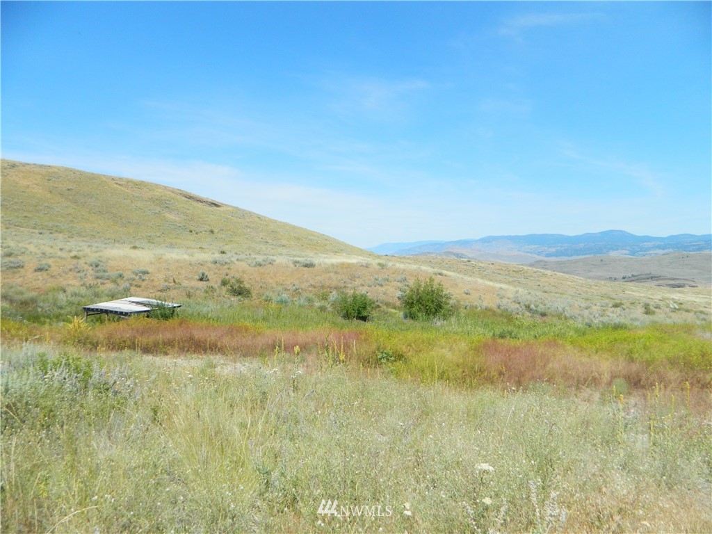 56 Twin Springs Road Riverside, WA 98849 - Photo 9 of 17 Gallery Image 9