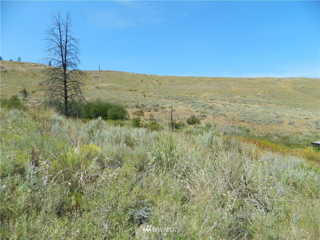 56 Twin Springs Road Riverside, WA 98849 - Photo 10 of 17 Gallery Image 10
