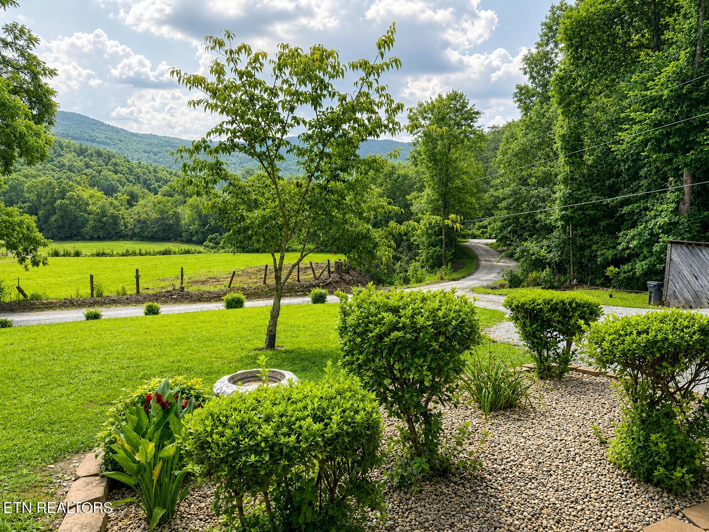 7914 Brimstone Road Robbins, TN 37852 - Photo 5 of 57 7EEED7D4-2543-46A7-905E-7EF2FF5C7B50