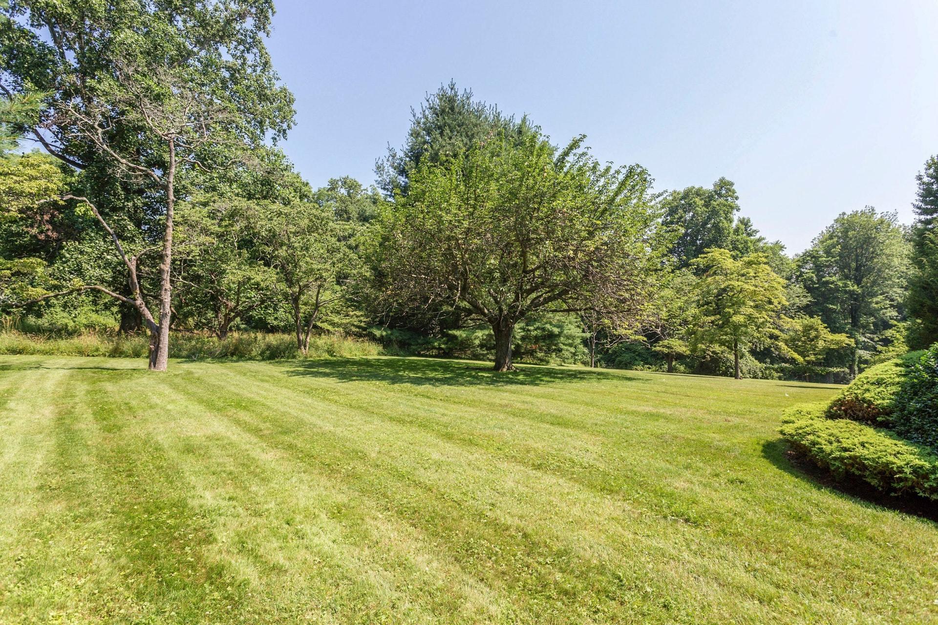 65 Maywood Road Darien, CT 06820 - Photo 13 of 14 a view of a field with trees in the background