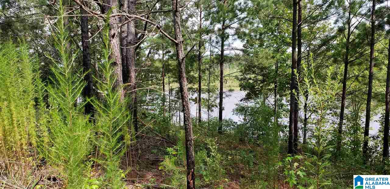 4035 Bryan Road, Unit 4 Dora, AL 35062 - Photo 7 of 17