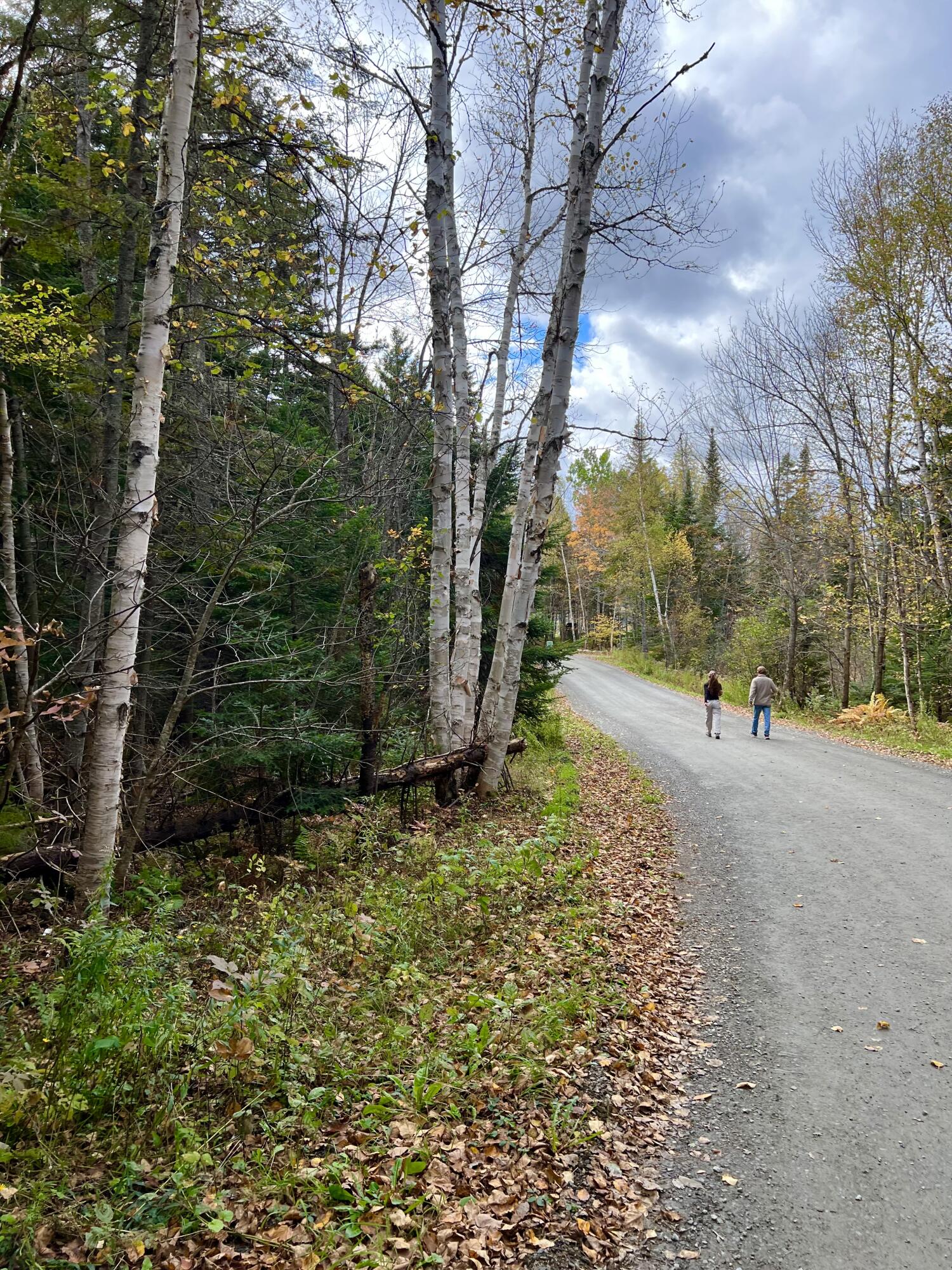 13-30 Overlook Road Sandy River Plt, ME 04970 - Photo 12 of 24 Out for a Walk