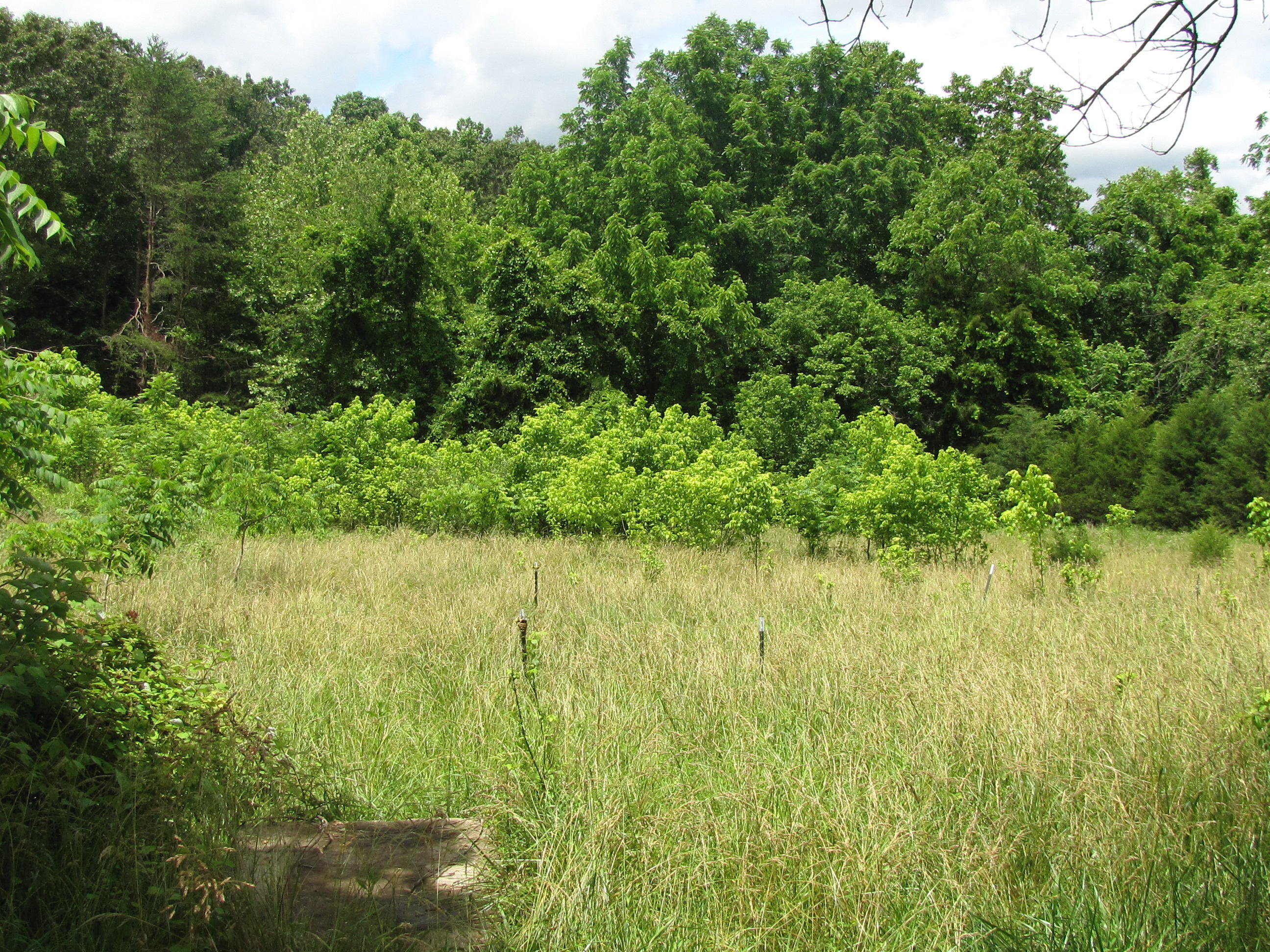 1405 Flowing Spring Road Buchanan, VA 24066 - Photo 18 of 24 IMG_4074
