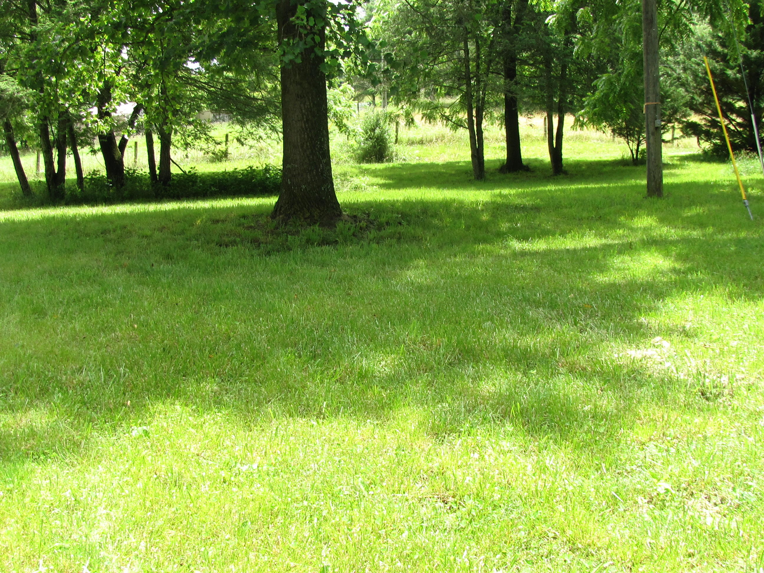 1405 Flowing Spring Road Buchanan, VA 24066 - Photo 20 of 24 IMG_4076