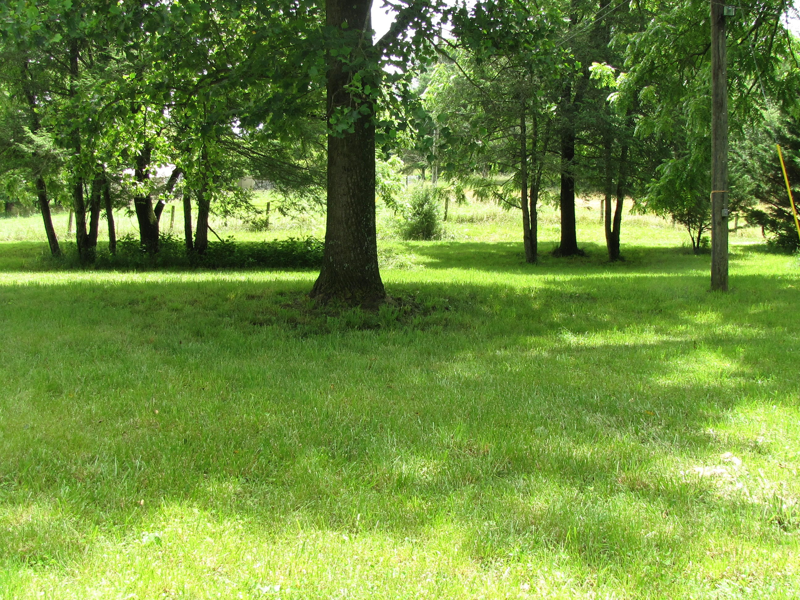 1405 Flowing Spring Road Buchanan, VA 24066 - Photo 21 of 24 IMG_4077