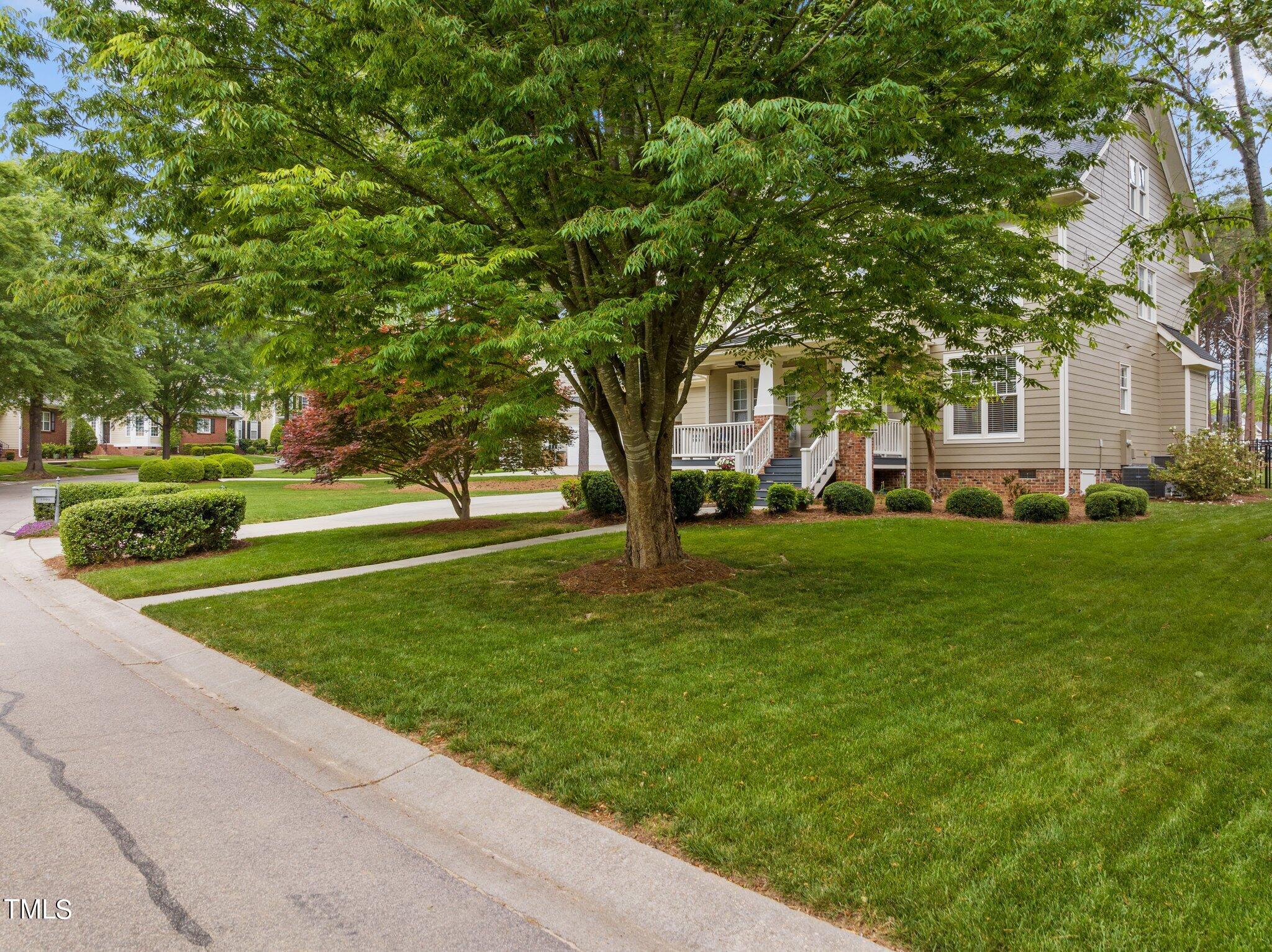 3-web-or-mls-DJI_0729