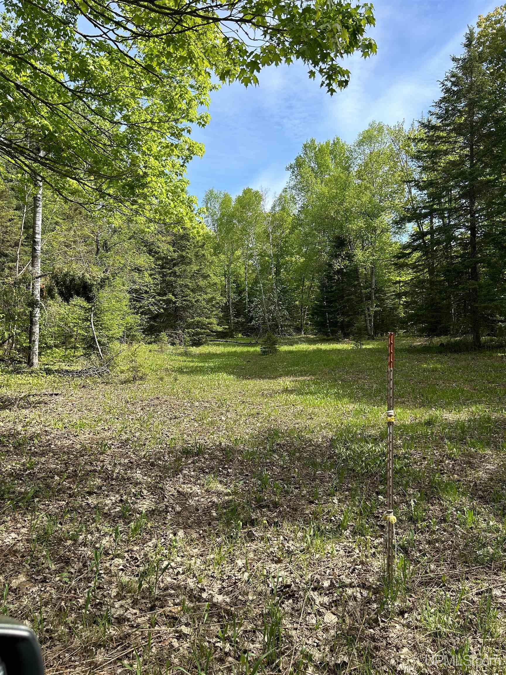 N3957 East T Road Eben Junction, MI 49825 - Photo 61 of 77