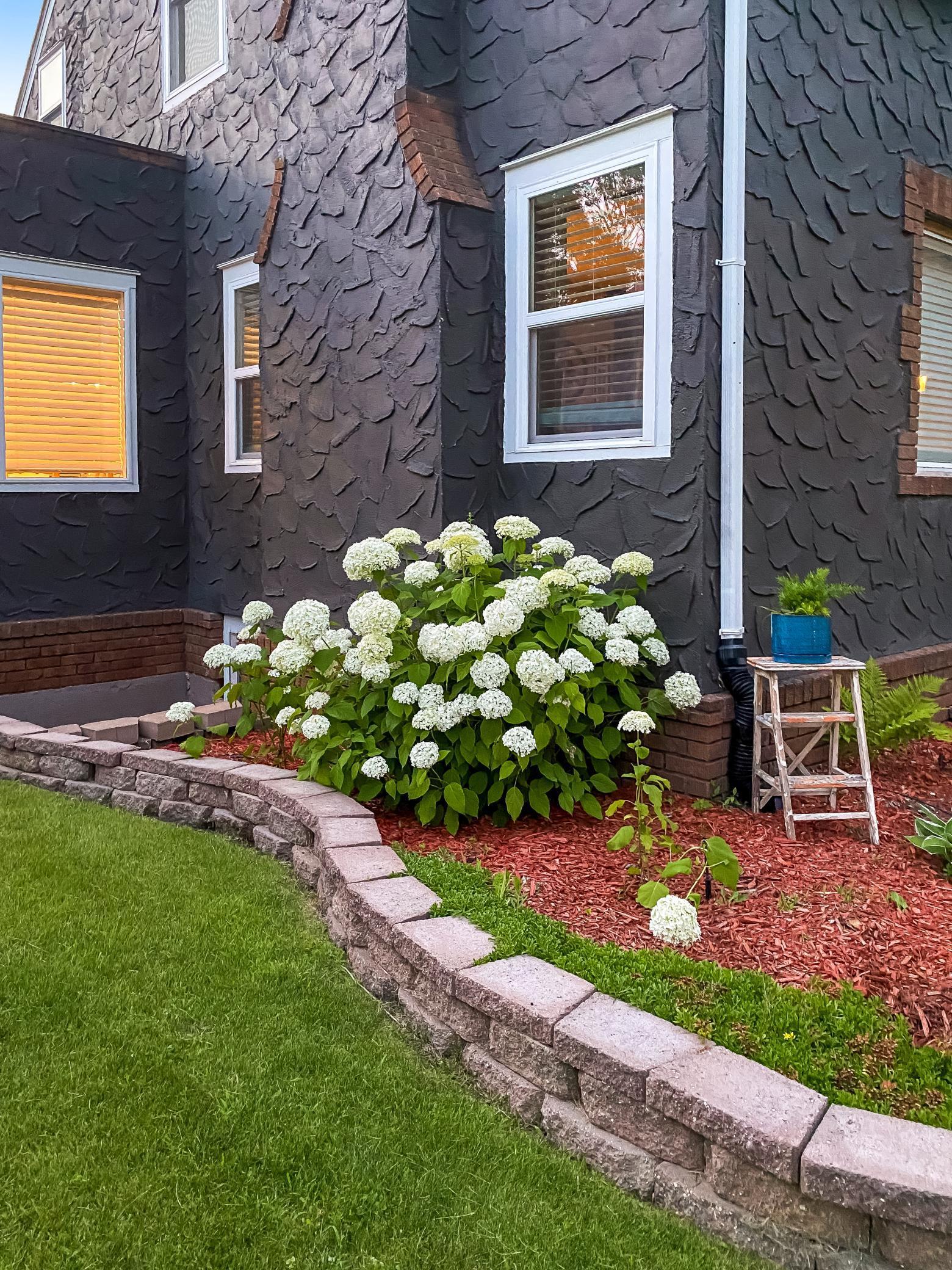 411 2nd Street Southwest Wadena, MN 56482 - Photo 3 of 25