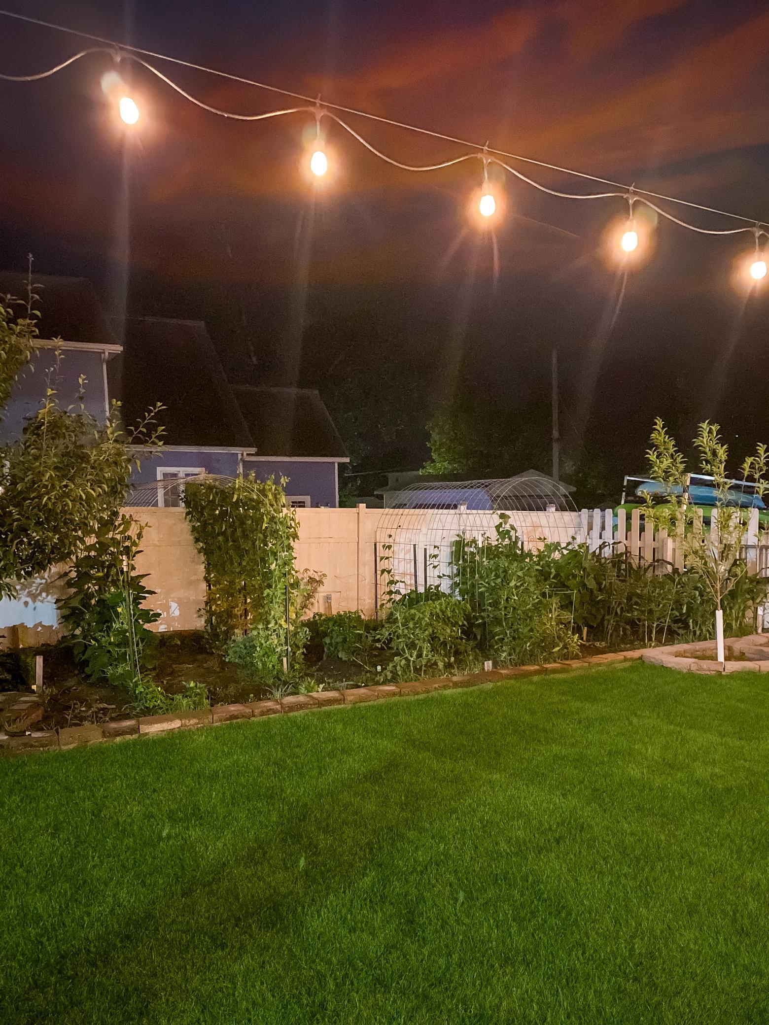 411 2nd Street Southwest Wadena, MN 56482 - Photo 6 of 25