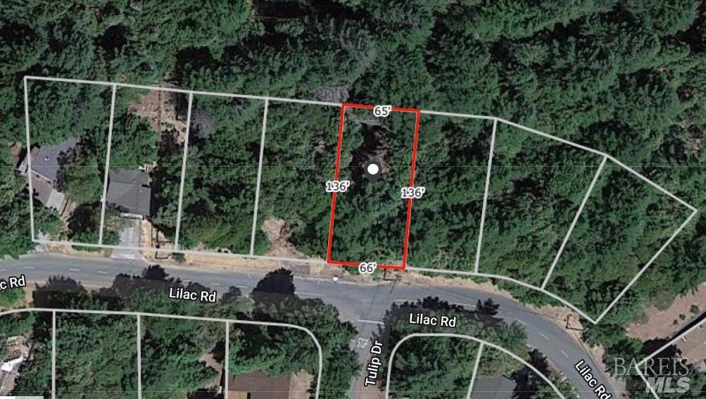 24297 Lilac Road Willits, CA 95490 - Photo 4 of 7 a view of yard from deck having patio