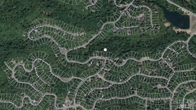 a view of a plant with a plant