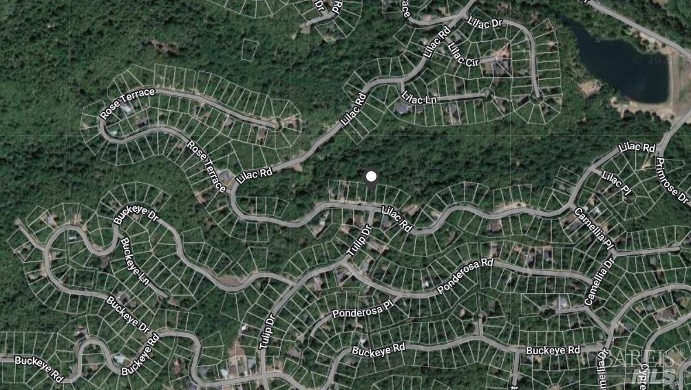 24297 Lilac Road Willits, CA 95490 - Photo 6 of 7 a view of a plant with a plant