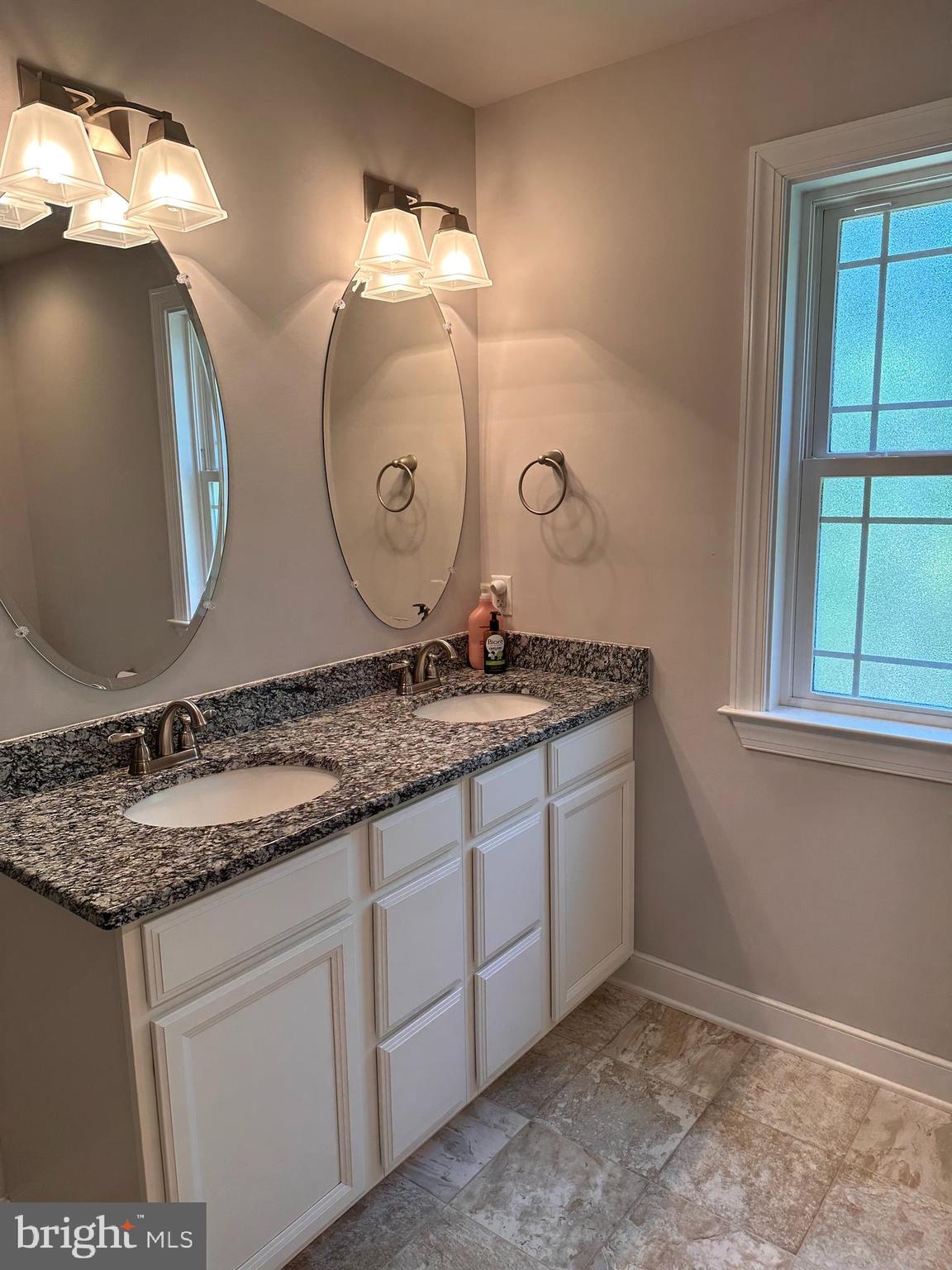 265 Hickory Ridge Circle Mineral, VA 23117 - Photo 17 of 24 primary bath