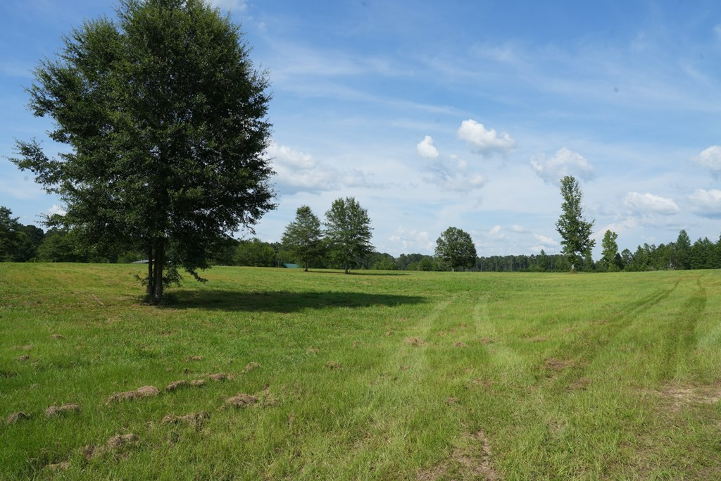 583 Jayess Ms 39641 Ruth, MS 39662 - Photo 4 of 19 Photo 4