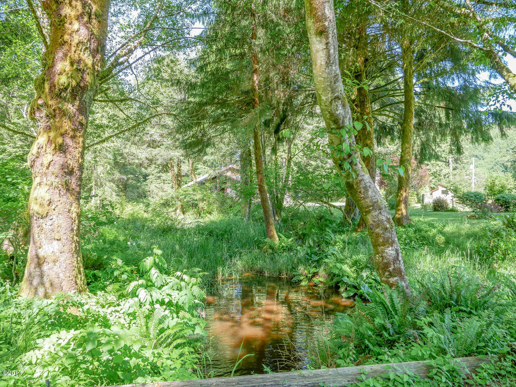 847 Hamer Road Siletz, OR 97380 - Photo 47 of 79 Creek