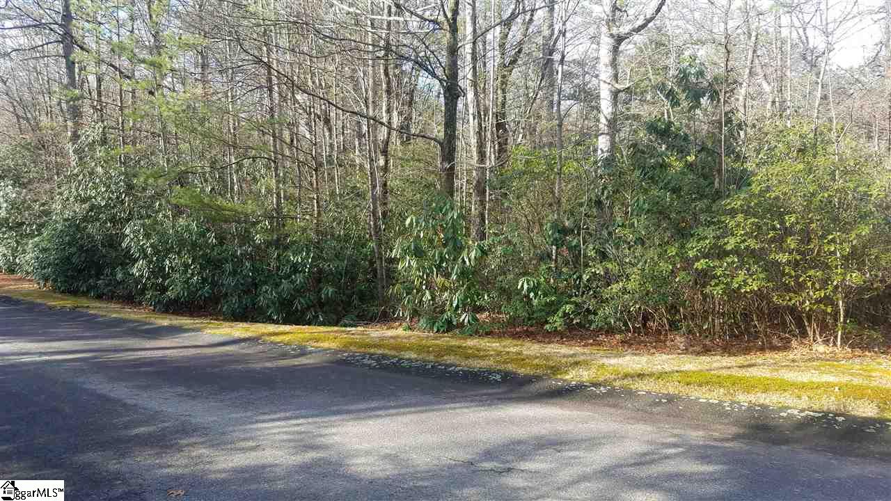 220 Conifer Falls Road Cleveland, SC 29635 - Photo 1 of 6