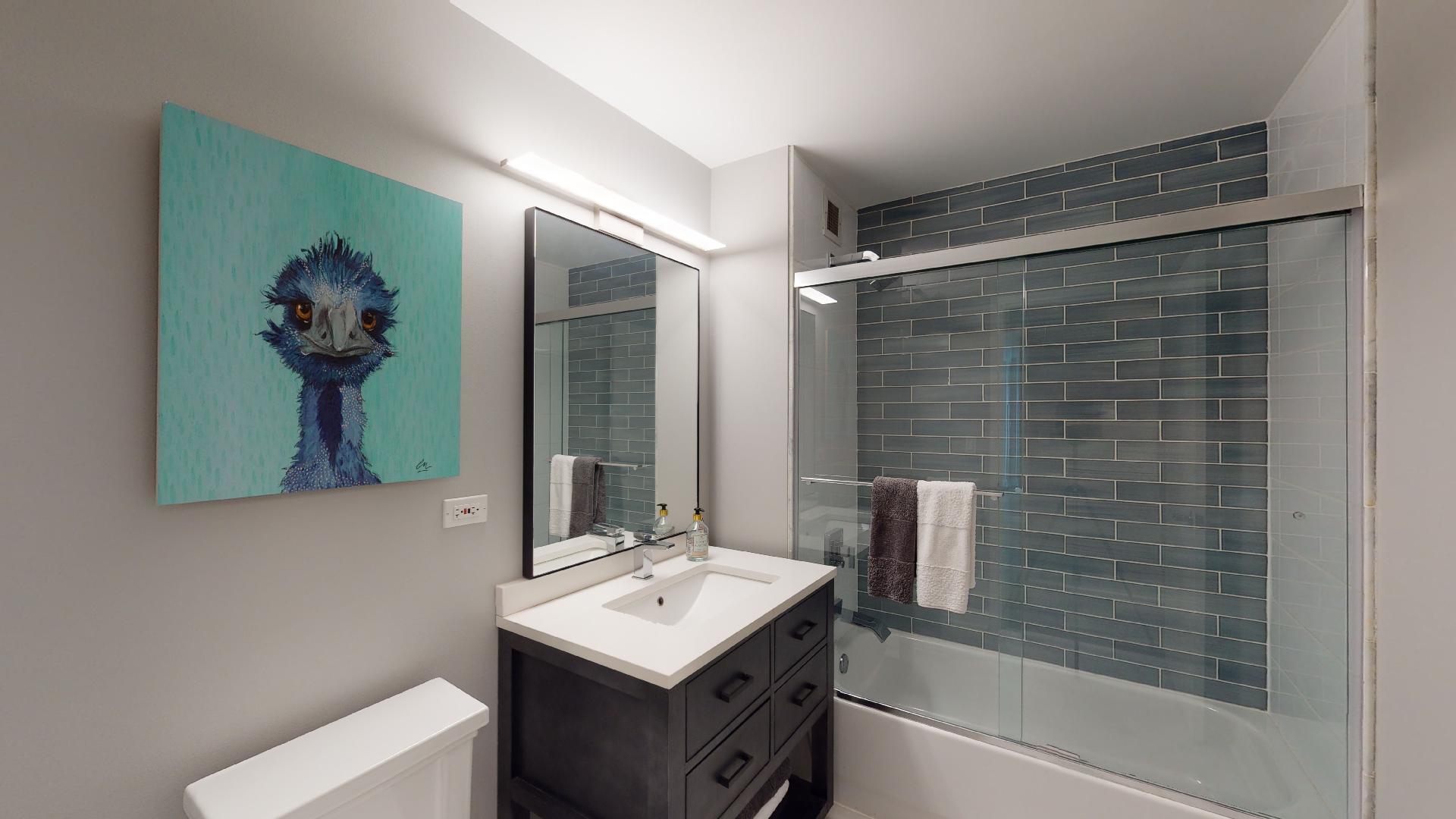 2 East Erie Street, Unit 3605 Chicago, IL 60611 - Photo 23 of 30 a bathroom with a sink mirror and a bathtub