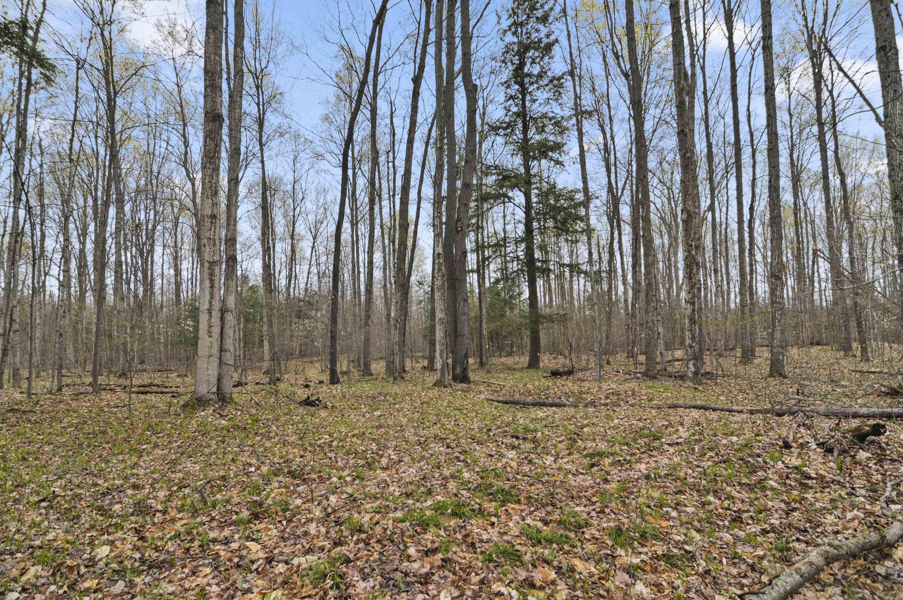 2561 East Johnson Road Lake City, MI 49651 - Photo 44 of 63