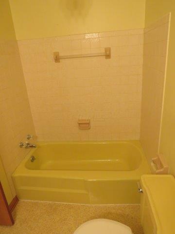 6830 Winchester Road Northwest Carroll, OH 43112 - Photo 30 of 62 Main Bath Tub