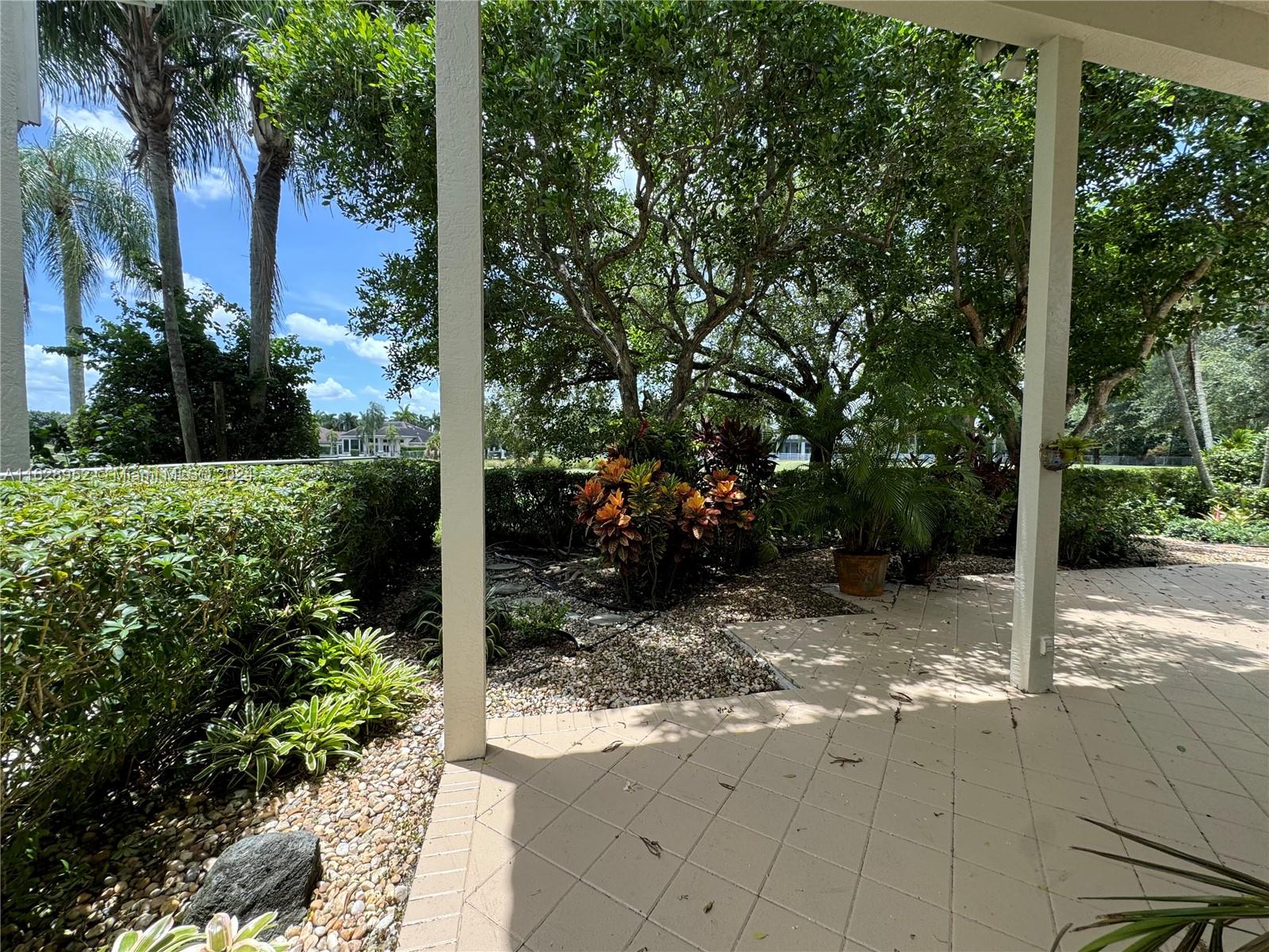 2743 Pinehurst Drive Weston, FL 33332 - Photo 29 of 35 a view of a yard with plants and large trees