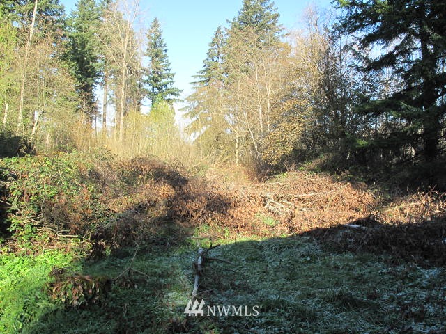 2719 Gibson Road Everett, WA 98204 - Photo 11 of 11